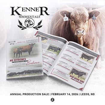 2026 Kenner Simmental Sale Catalog