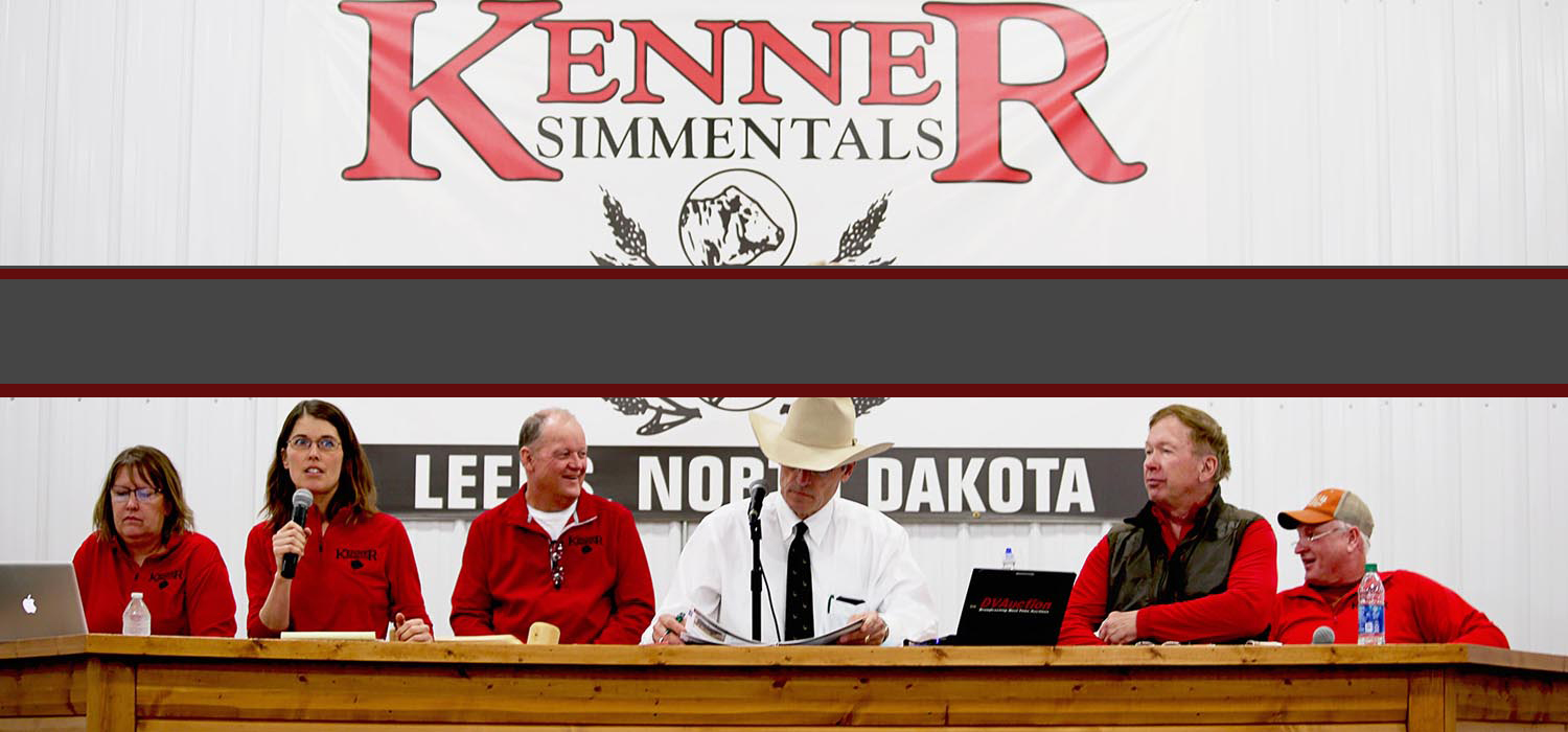 KENNER SIMMENTAL RANCH