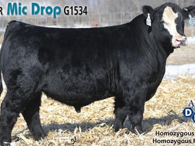 Mr SR Mic Drop G1534